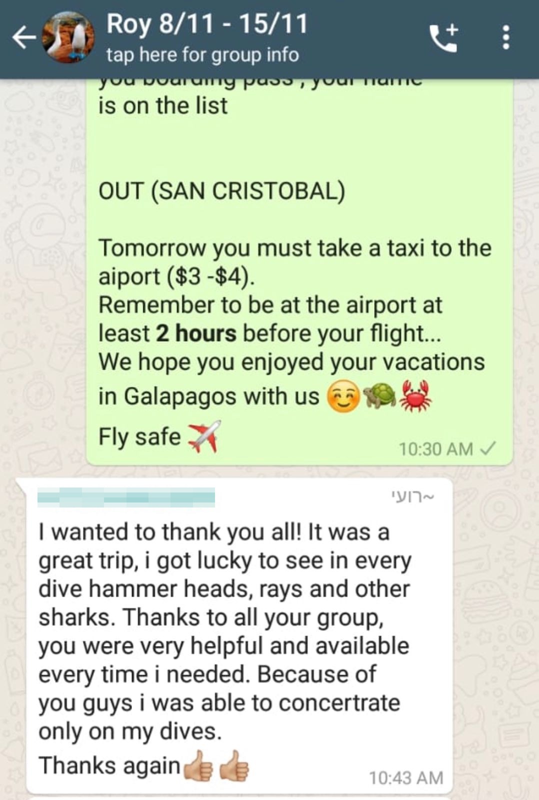 Message from a traveller after diving with hammerheads, 2022