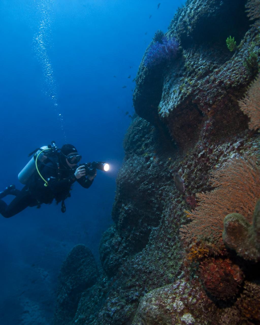 Diver photographing a reef wall