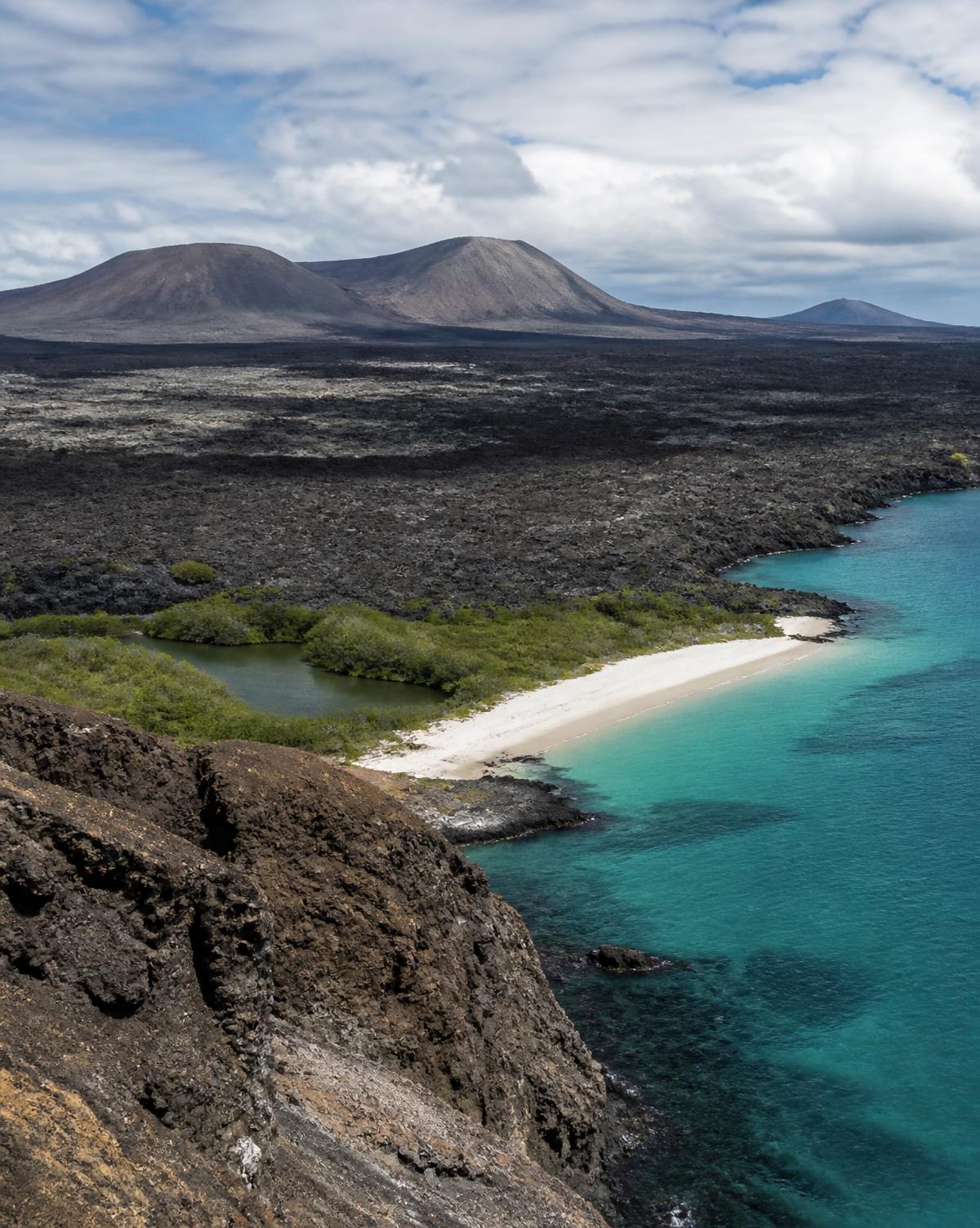 Volcanic cones and black lava fields meeting a turquoise bay on Isabela