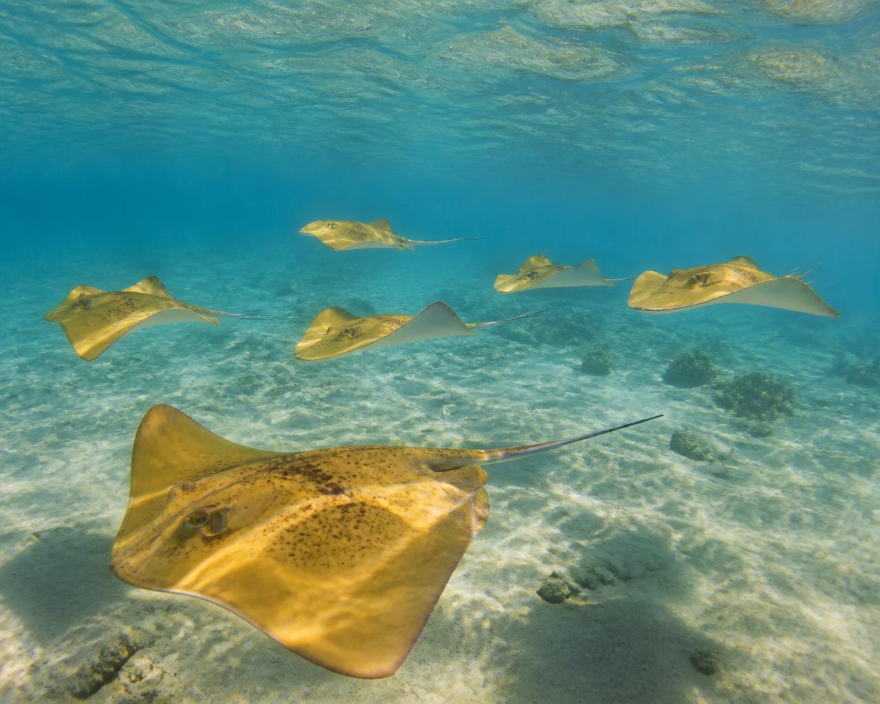 Golden rays gliding over sand